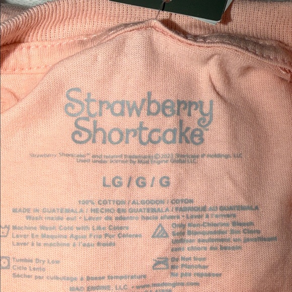 Strawberry Shortcake Graphic Tee Shirt NWT Size Large Pink Retro Kawaii - Picture 2 of 8